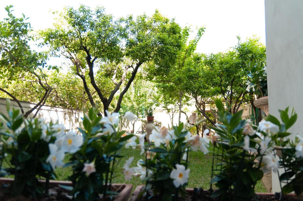 托雷安农齐亚塔Casa Teresinella Garden公寓 外观 照片