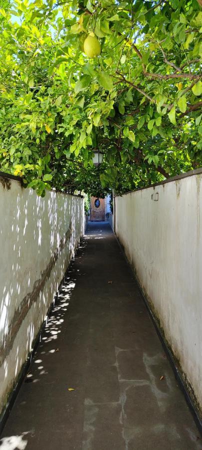 托雷安农齐亚塔Casa Teresinella Garden公寓 外观 照片