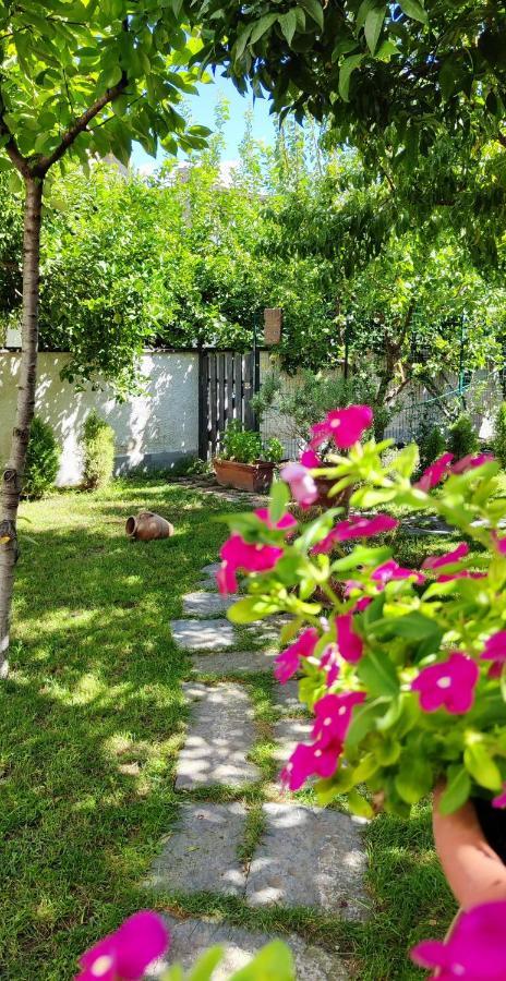 托雷安农齐亚塔Casa Teresinella Garden公寓 外观 照片